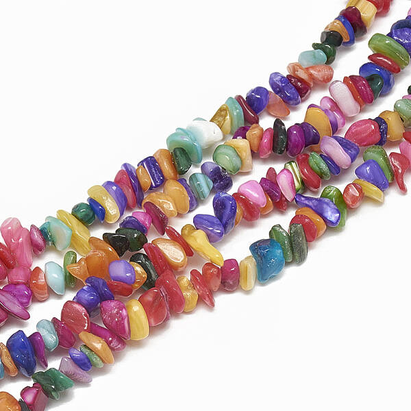 Freshwater Shell Beads Strands