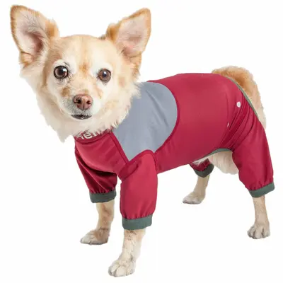 Dog Helios® Tail Runner Dog Track Suit - Gray - Small