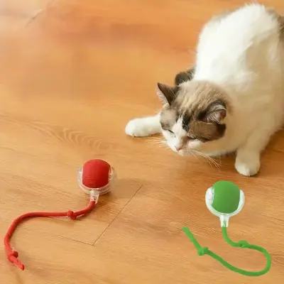 USB Rechargeable Cat Teaser Toy, Long Tail Teasing Cat Ball, Interactive Toy for Cats, Pet Supplies for All Breeds of Cats, ...