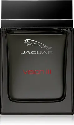 Jaguar Vision III 100ml