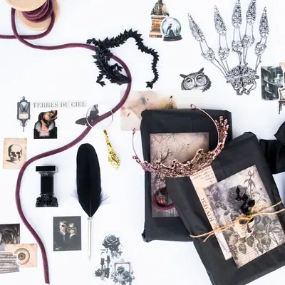 Inglenook Books—Dark Academia Book Box