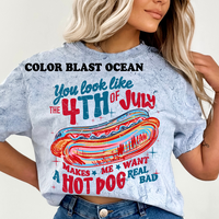 You Look Like the 4th of July Shirt ~ Unisex Apparel Relaxed Fit Printed In The USA Clothing Womenswear Casual Comfort Cotton...