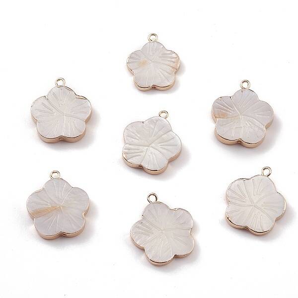 Natural Freshwater Shell Pendants