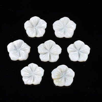 Natural Freshwater Shell Cabochons
