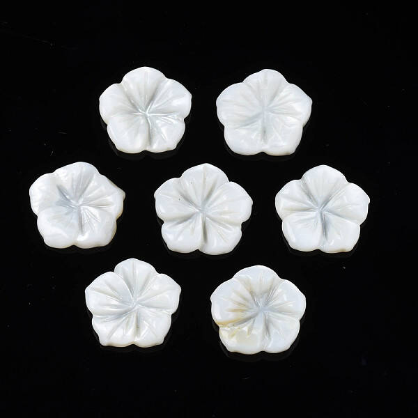 Natural Freshwater Shell Cabochons