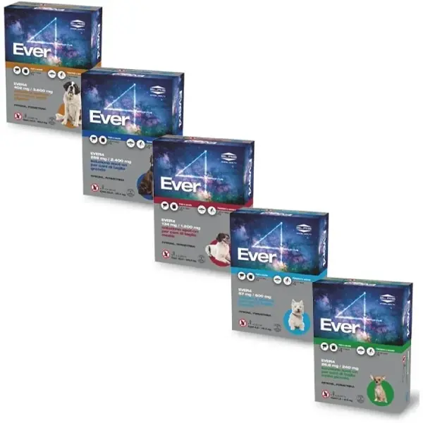 Alfamed sa Ever4 Spot-On for Dogs 4 Pipettes - XS 1.5 - 4 Kg