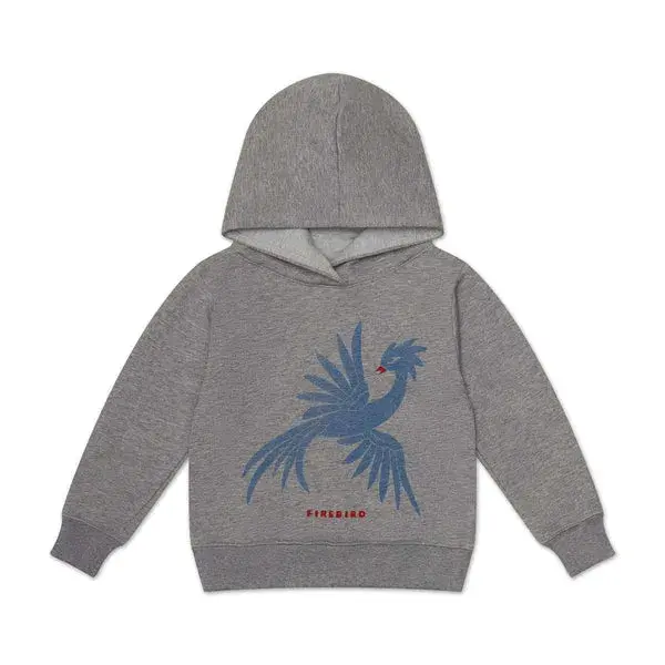 Firebird Graphic Fleece Hoodie | Size: 12-13