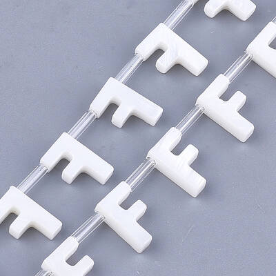 Natural Freshwater Shell Beads