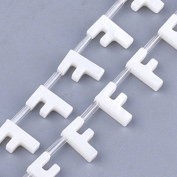 Natural Freshwater Shell Beads