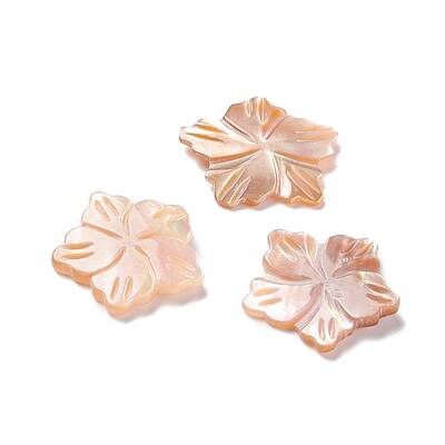 Sea Shell Cabochons