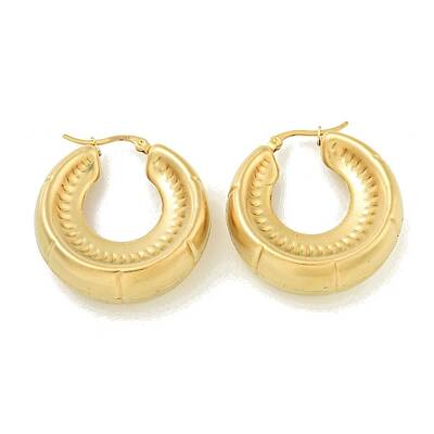Ion Plating(IP) 304 Stainless Steel Hoop Earrings for Women