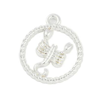 Twelve Constellations Alloy Pendants