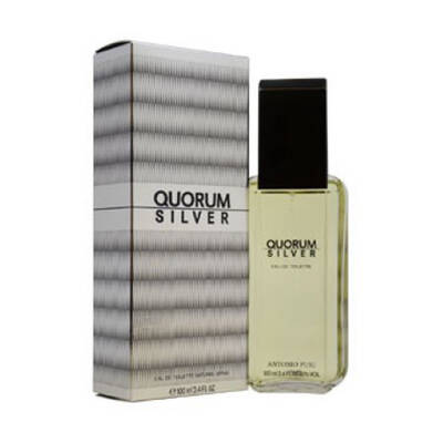 Quorum Silver Cologne for Men - Eau de Toilette Spray 3.4 oz