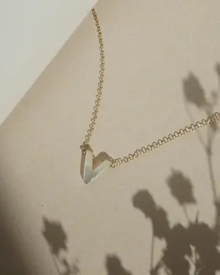 Dawn Initial Necklace | Metal Color: Solid 14K Gold | Style: V