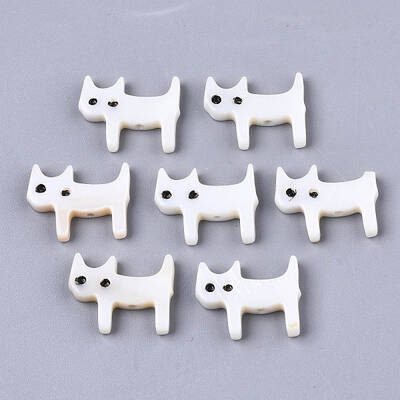 Natural Freshwater Shell Beads