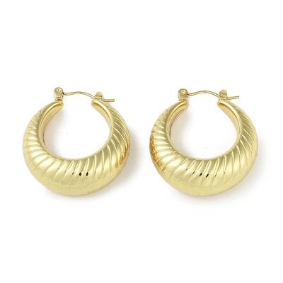 Ion Plating(IP) 304 Stainless Steel Hoop Earrings for Women