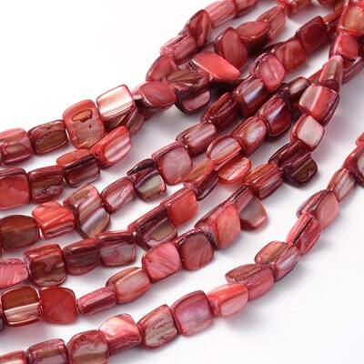 Natural Sea Shell Beads