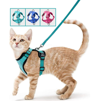 Cat Harness and Leash Set, Escape Proof Safe Adjustable Kitten Vest Harnesses for Walking, Easy Control Soft Breathable Mesh ...