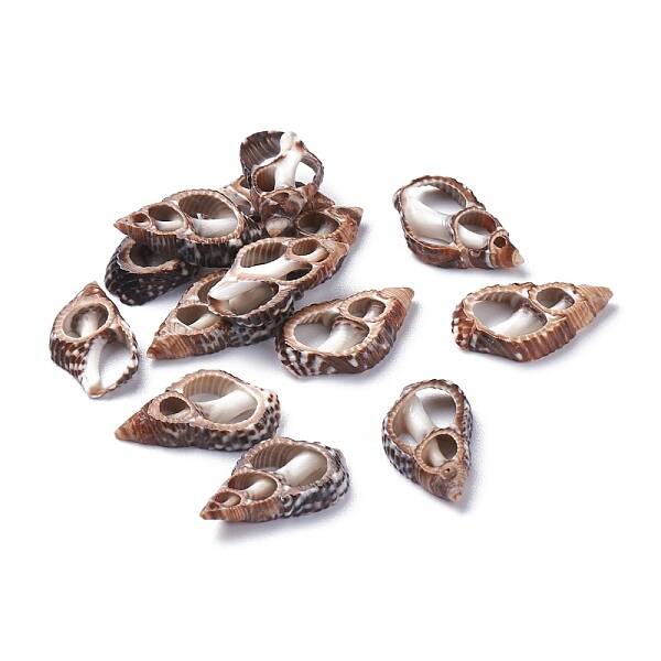 Natural Spiral Shell Beads