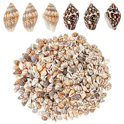 330Pcs 2 Styles Natural Shell Beads