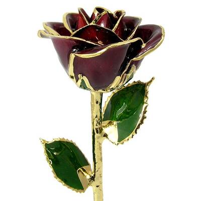 24k Gold Trimmed Rose: 11 Burgundy Rose