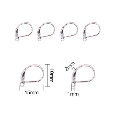 304 Stainless Steel Leverback Earring Findings