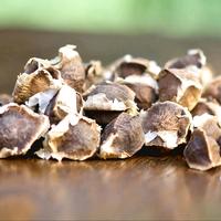 Moringa Tree Seeds Organic Natural Non-GMO Pkm1 Variety Drumstick High in Nutrients Multipurpose Plant Easy to Grow Superfood...