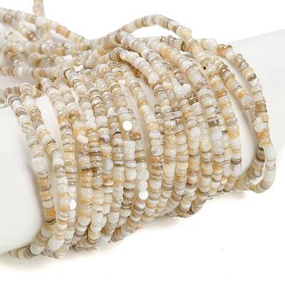 Natural Freshwater Shell Beads Strands