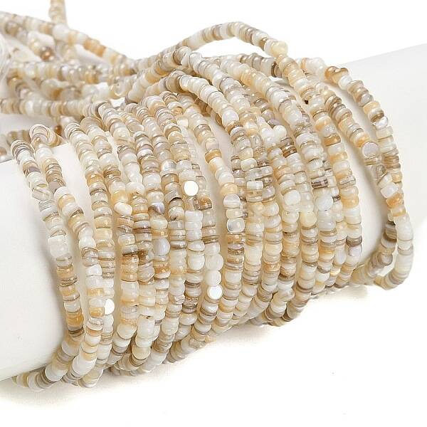 Natural Freshwater Shell Beads Strands