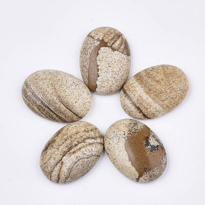 Natural Picture Jasper Cabochons