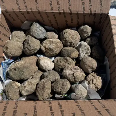 Unopened Keokuk crystal geodes! geode