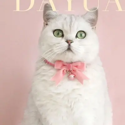 Velvet Bow Design Pet Collar, Pet Bow Tie With Bell & Adjustable Buckle, Pet Accessories For Cats & Dogs