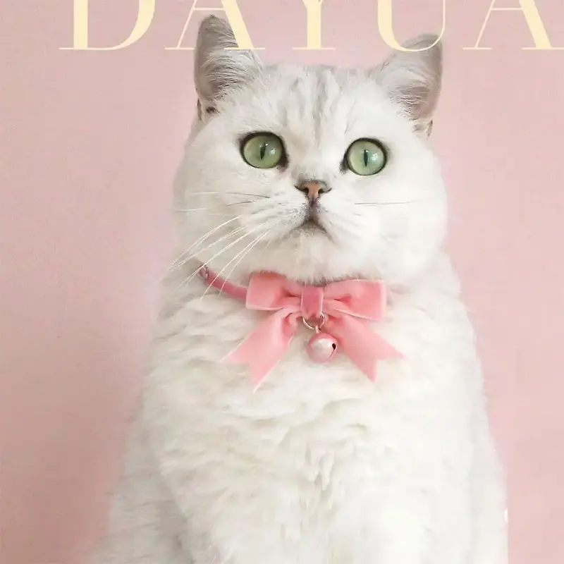 Velvet Bow Design Pet Collar, Pet Bow Tie With Bell & Adjustable Buckle, Pet Accessories For Cats & Dogs