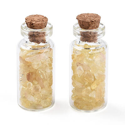 Glass Wishing Bottle Display Decorations