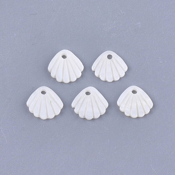 Freshwater Shell Charms