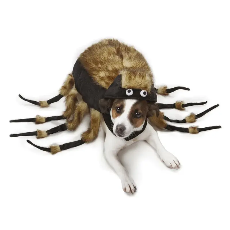 Zack & Zoey&reg; Tarantula Dog Costume - S