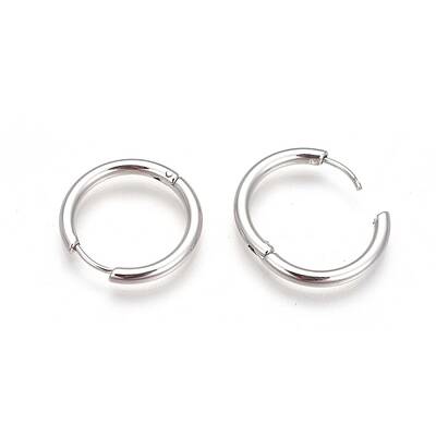304 Stainless Steel Hoop Earrings