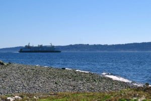 Introduction to IMO Conventions and Codes