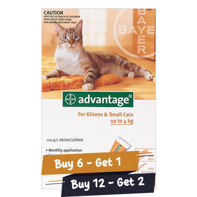 Advantage Kittens & Small Cats 1-10lbs 4 Doses