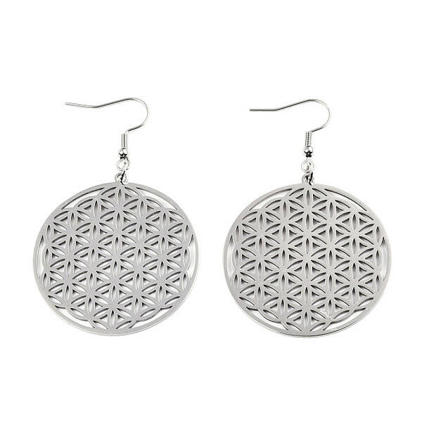 Tarnish Resistant 201 Stainless Steel Dangle Earrings
