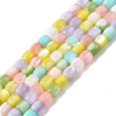 Natural Trochid Shell/Trochus Shell Beads Strands
