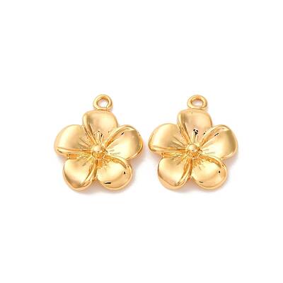 Brass Pendants