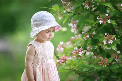 Aperturee Pink Flower Blooming Tree Spring Portrait Backdrop
