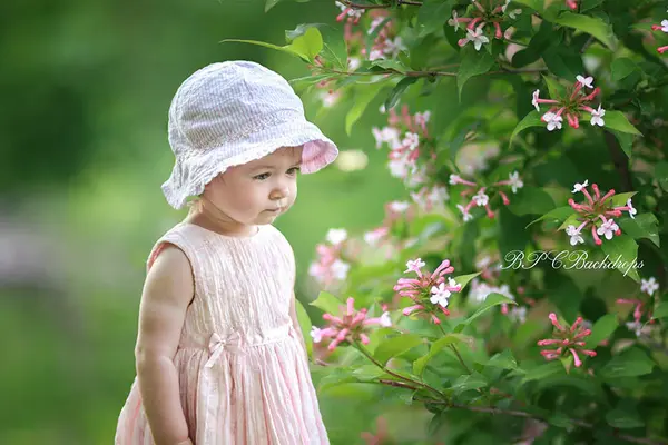 Aperturee Pink Flower Blooming Tree Spring Portrait Backdrop