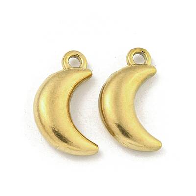 Ion Plating(IP) 304 Stainless Steel Charms