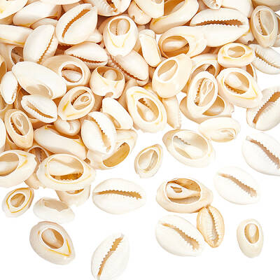 100Pcs 2 Styles Natural Mixed Cowrie Shell Beads