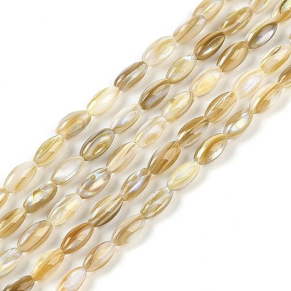 Natural Freshwater Shell Beads Strands