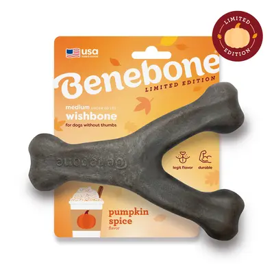 Pumpkin Spice Wishbone | Limited Edition Durable Dog Chew Toy | Real Flavor & Long-Lasting Play