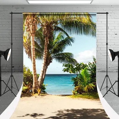 Sandy Beach Palm Trees Sweep Summer Photo Backdrop - Aperturee