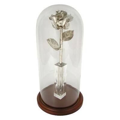 Enchanted 20th Anniversary 11 Platinum Rose
